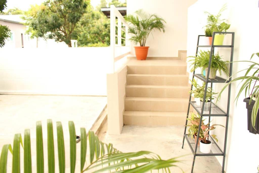 New Seaview Cozy Modern Beach House Tanjung Bungah  Eksteriør bilde